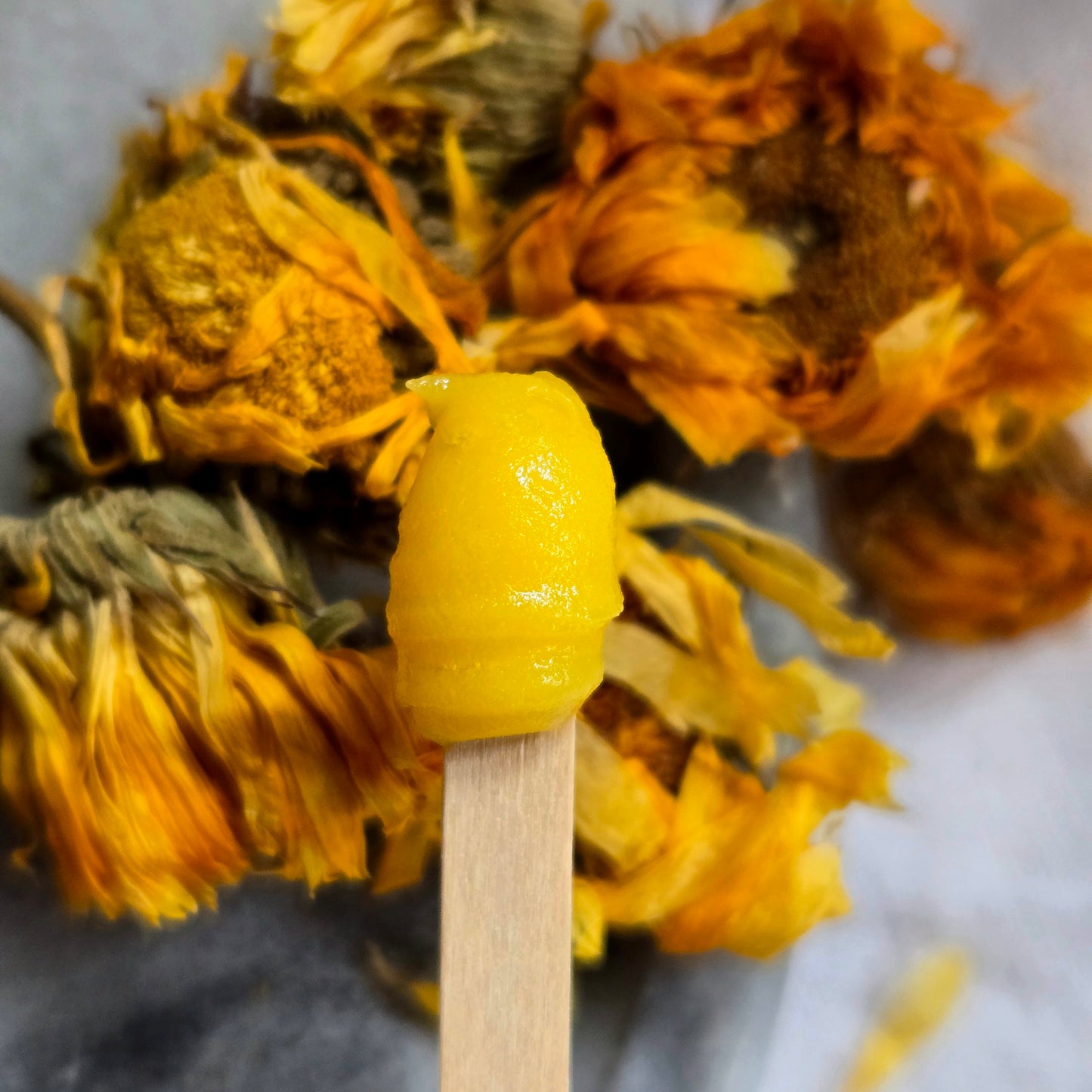 Bliss Balm | Restorative Face Moisturizer