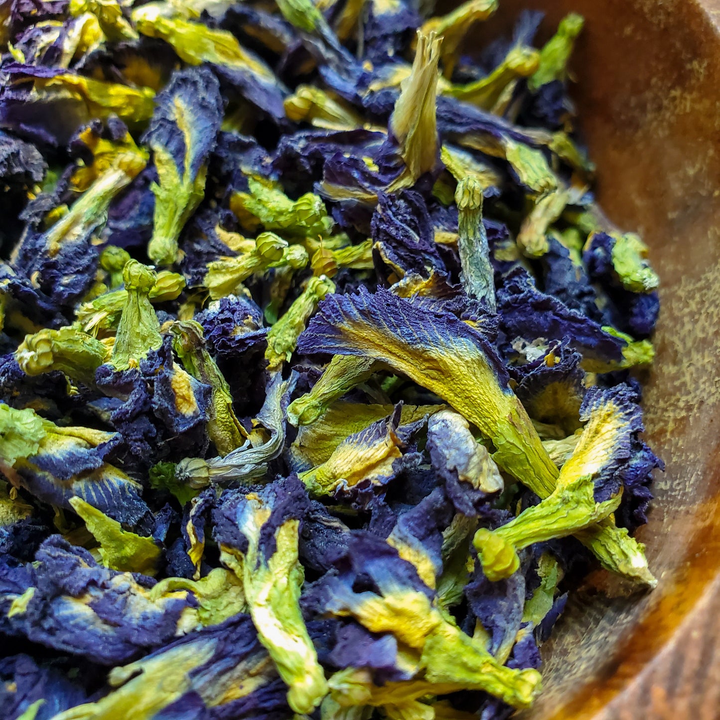 Butterfly Pea Flowers